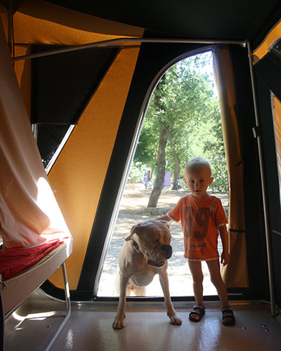 najboljsi tris otrok pes in sotorska prikolica 3